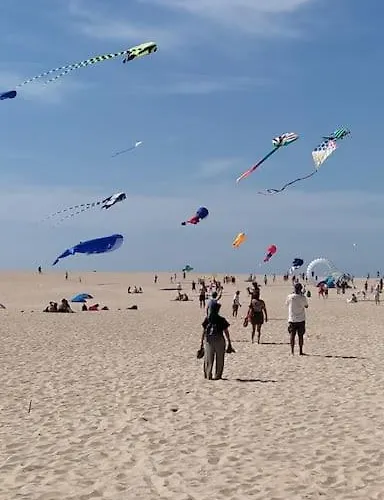 Dans Un Cadre Paradisiaque